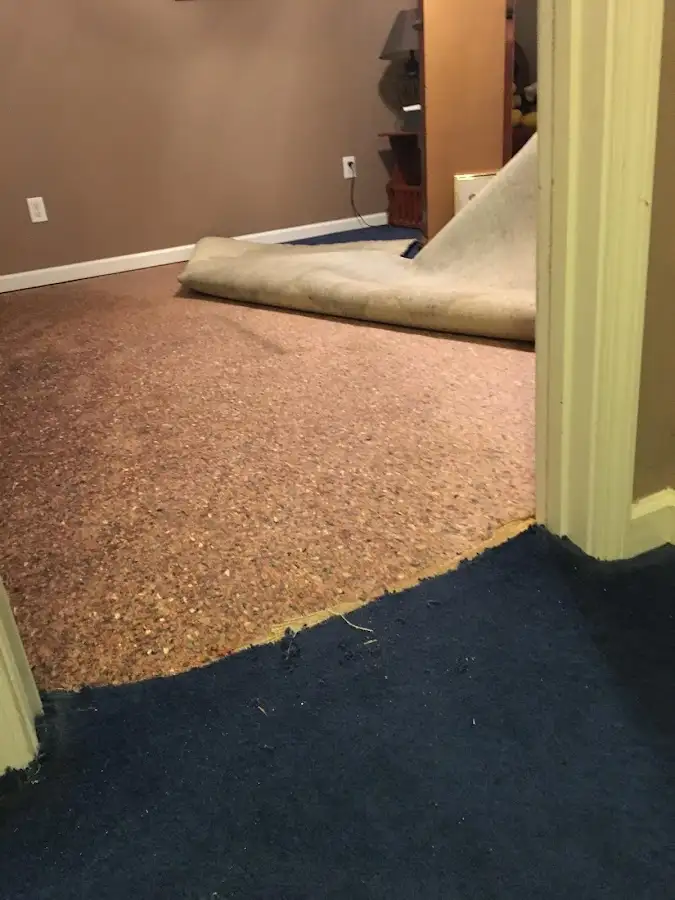 Carpet pad removal revealing water damage during Water Mitigation Services in Mount Holly