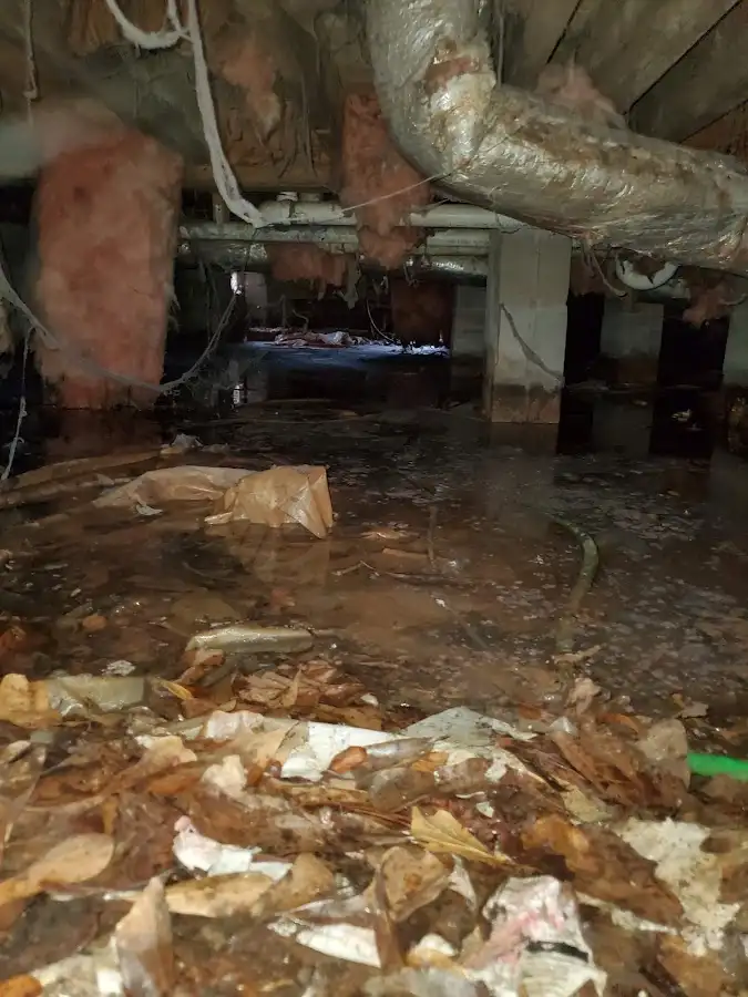 Crawl space flood assessment for Commercial Water Damage Restoration in Mount Holly